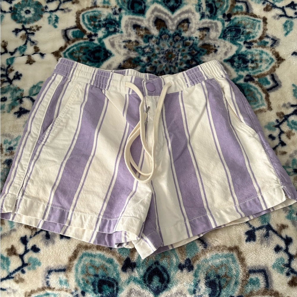 American Eagle Outfitters Purple and White Striped Shorts